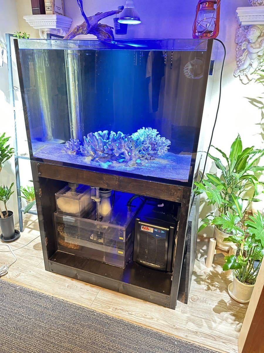 Yahoo!オークション -「オーバーフロー水槽セット 90」(魚、水草