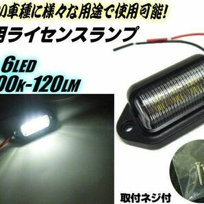 12V 汎用 LED マルチ ライセンスランプ ライセンス灯 ナンバー灯 白