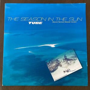 TUBE シーズン・イン・ザ・サン Season in the sun /special remixed seaside version/12インチ