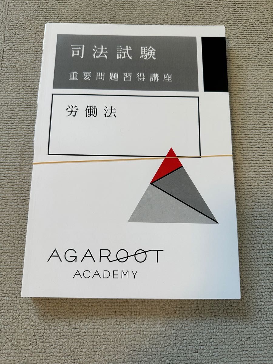 アガルート 2023 労働法 重要問題習得講座 司法試験 予備試験 選択科目-