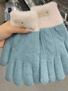 レディース アクセサリー 手袋 女性用 手袋 ニット 車等で使える タッチスクリーン対応 冬用 厚手 2重構造 韓国風