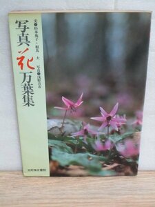 写真集■花 万葉集 写真：浅野喜市/文： 杉本苑子・相馬大/光村推古書院/昭和63年　万葉集に登場する花の写真集