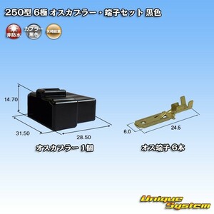 矢崎総業 250型 6極 オスカプラー・端子セット 黒色