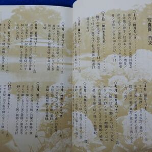 1▲  東京風物詩 伊与田昌男 / カラーブックス325 昭和50年,初版,元ビニールカバー付の画像3