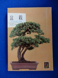 1▲ 　盆栽 自然美の創作と鑑賞　村田憲司,村田圭司　/ カラーブックス 昭和41年,3刷,紙カバー付