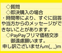 【宅配便送料無料】かるいかばん　　リュックサック　　Legato Largo　　レガートラルゴ　ブラック_画像9