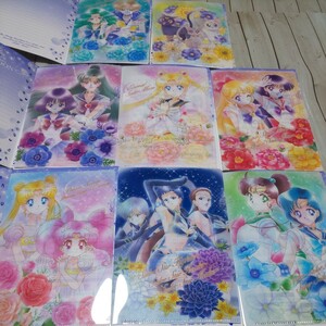  Sailor Moon * jumbo Carddas * искусство файл коллекция 3 все 8 вид Complete товар s Lee laitsu sailor воитель . внутри прямой .