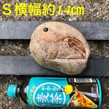 カエル 蛙 石蛙 自然石 天然石 石像 石造 彫刻 石製品 庭石 庭園 玄関 石の置物 庭飾り インテリア 癒し 縁起物 ガーデニング 重石 Ｓ14cm_画像2