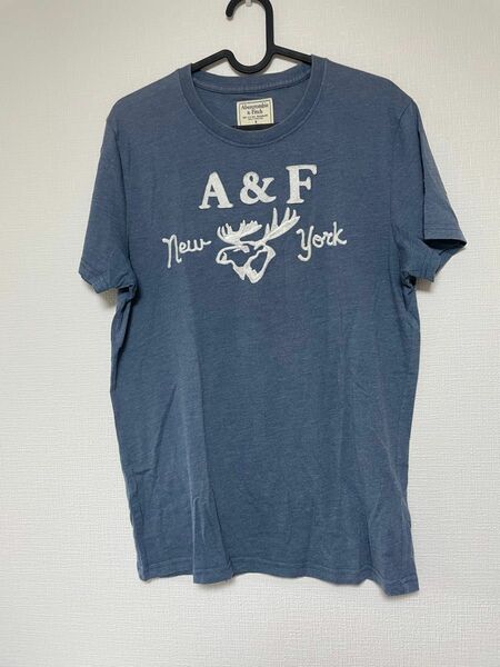 アバクロ Tシャツ Sサイズ ブルー系 Abercrombie