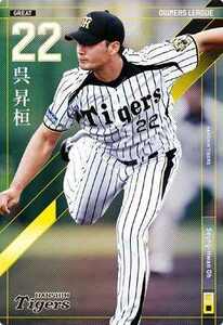  Owners League 18 Great GR male n fan (...) Hanshin Tigers 