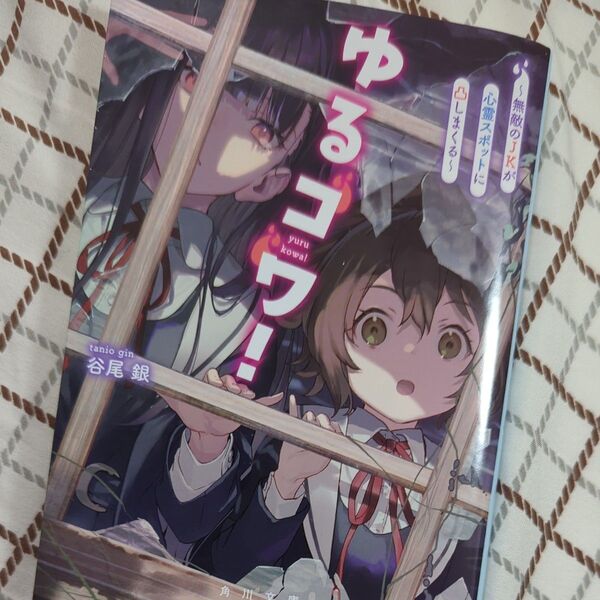 ゆるコワ！　無敵のＪＫが心霊スポットに凸しまくる （角川文庫　た９５－１） 谷尾銀／〔著〕