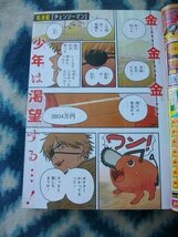 チェーンソーマン 新連載・第１回掲載号 週刊少年ジャンプ２０１９年１号 極美品 デンジ ポチタ マキマ 早川アキ Chainsaw Man　ワンピース_画像2