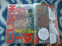 チェーンソーマン 新連載・第１回掲載号 週刊少年ジャンプ２０１９年１号 極美品 デンジ ポチタ マキマ 早川アキ Chainsaw Man　ワンピース_画像3