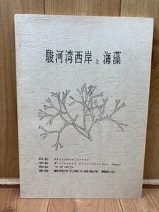 駿河湾西岸と海藻(私家版）/静岡・用宗・興津・三保・御前崎　CIA1323