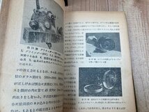 反射望遠鏡の作り方【昭和25年/木辺成麿】　誠文堂新光社　YAA1929_画像8