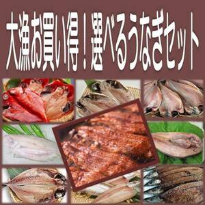 3《送料無料》うなぎ蒲焼５尾＋選べる干物６品セット 金目鯛 沼津産鯵 ホッケ カマス えぼ鯛 大サバ 対馬鯵 秋刀魚 平サバ 鰯より選択