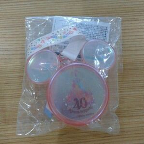 ディズニー 40周年 スーベニアスナックケース