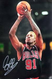 * Dennis * rod man autograph autograph photograph /foNBA75 anniversary commemoration player selection . Chicago *bruz rebound .×7