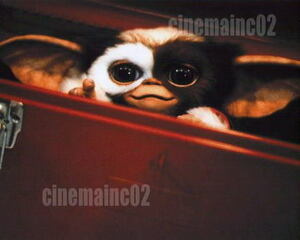 即決！映画『グレムリン』箱から顔を出すかわいいギズモの写真