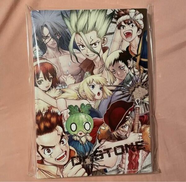 【新品・限定品】Dr.STONE デザインアートボード