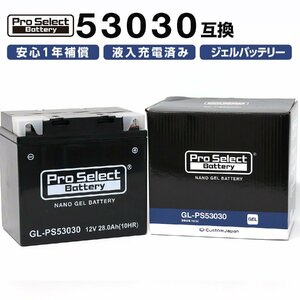 ProSelect(プロセレクト) バイク GL-PS53030 BMW専用ジェルバッテリー(53030 互換)(ジェルタイプ 液入充電済) PSB178 密閉型MFバ