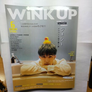 WINK UP(u чернила выше ) 2021 год 6 месяц номер (wani книги )