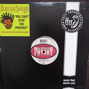 12inch US盤/JERU THE DAMAJA YOU CAN'T STOP THE PROPHET