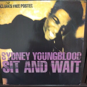 12inch UK盤/SYDNEY YOUNGBLOOD SIT AND WAIT