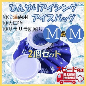 アイスバッグ Mサイズ 2個 氷のう 氷嚢 アイシング ゴルフ 熱中症