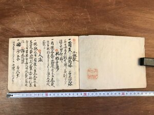 LL-6254 ■送料込■ 明治期 薬 医療 薬学 写本 資料 肉筆 和書 古書 古文書 /くJYら