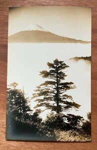 FF-6651 ■送料込■ 山梨県 雲海の富士 富士山 雲海 山 登山 自然 天気 世界遺産 風景 景色 戦前 エンタイア 絵葉書 写真 古写真/くNAら