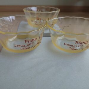 マニー エピ iwaki フリルカップS 耐熱ガラス 3皿セット 小麦