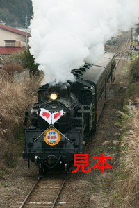 鉄道写真データ（JPEG）、00419712、C11-325＋50系（2015新年号）、真岡鐵道、久下田〜寺内、2015.01.04、（4912×7360）