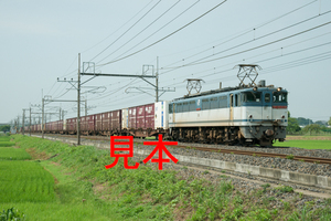 鉄道写真データ（JPEG）、00336536、EF65-2138＋貨物、JR東北本線、東大宮〜蓮田、2014.07.17、（7180×4792）