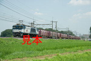 鉄道写真データ（JPEG）、00337105、EF64-1002＋貨物、JR東北本線、蓮田〜東大宮、2014.07.29、（7180×4792）