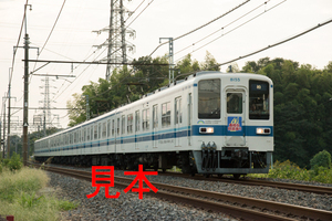 鉄道写真データ（JPEG）、00347189、8000系（8155F）南越谷阿波踊りヘッドマーク、東武鉄道野田線、七里〜岩槻、2014.08.21、（7360×4912