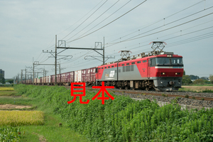 鉄道写真データ（JPEG）、00357695、EH500-901＋貨物、JR東北本線、東大宮〜蓮田、2014.09.18、（7166×4783）