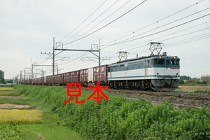 鉄道写真データ（JPEG）、00357696、EF65-2088＋貨物、JR東北本線、東大宮〜蓮田、2014.09.18、（7360×4912）