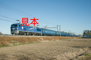 鉄道写真データ（JPEG）、00420199、EF510-514＋北斗星、JR東北本線、蓮田〜東大宮、2015.01.29、（7360×4912）