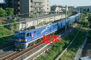 鉄道写真データ（JPEG）、00463832、EF510-515＋臨時北斗星、JR東北本線、東大宮〜蓮田、2015.05.21、（7360×4912）