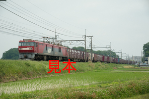 鉄道写真データ（JPEG）、00478536、EH500-79＋貨物、JR東北本線、蓮田〜東大宮、2015.05.28、（7360×4912）