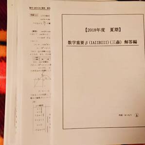 駿台　数学重要β(IAIIBIII)　18年　三森先生　駿台 河合塾 鉄緑会 代ゼミ Z会 ベネッセ SEG 共通テスト