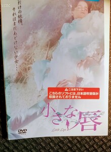 小さな唇　DVD ポール・ミューラー、ミケーレ・ソアヴィ、ミモ・カタリニチ