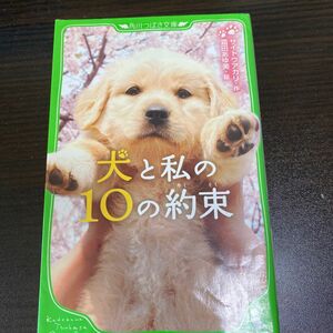 犬と私の１０の約束 （角川つばさ文庫　Ｂさ１－１） サイトウアカリ／作　霜田あゆ美／絵