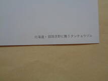 ☆絵葉書☆　北海道　釧路原野に舞うタンチョウヅル_画像3