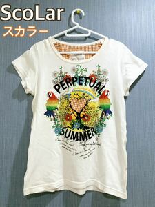 スカラー　Tシャツ　②