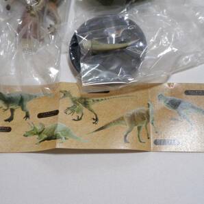 恐竜図鑑スタンドフィギュア 全5種セット Qualia クオリア ガチャ ティラノサウルス トリケラトプス デイノニクス カルノタウルス 恐竜の画像2