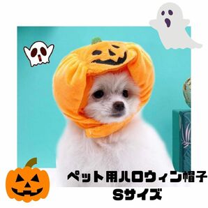 ペット用 帽子 ハロウィン かぼちゃ Sサイズ コスプレ 被り物 犬 猫