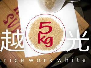 新米2023！ 送料無料 栃木県産コシヒカリ 5kg 23年産　白米　単一原料米 　riceworkwhite 0