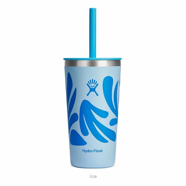 HydroFlask 20oz All Around Tumbler Press in Straw Lid